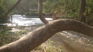 Lessive en forêt