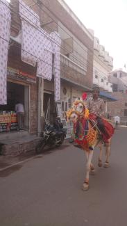 A cheval