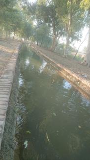Canal secondaire