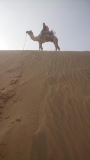 Jaykesh d'Arabie