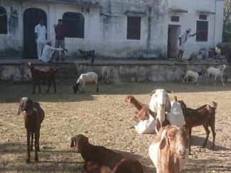 Relais de chasse