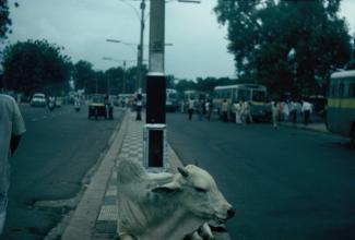 Vieux Delhi
