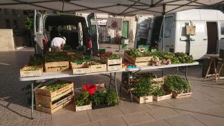 Summer market