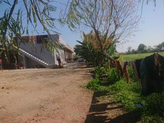 Extension