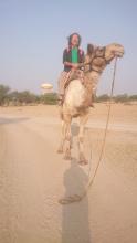 Jaykesh d'Arabie