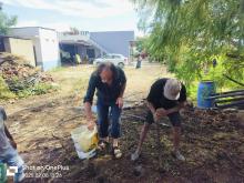 Easy compost