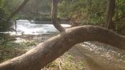 Lessive en forêt