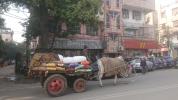 metro patel nagar